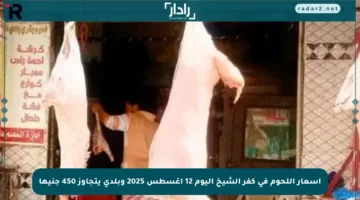 أسعار اللحوم في كفر الشيخ اليوم 12 أغسطس 2025 وبلدي يتجاوز 450 جنيها